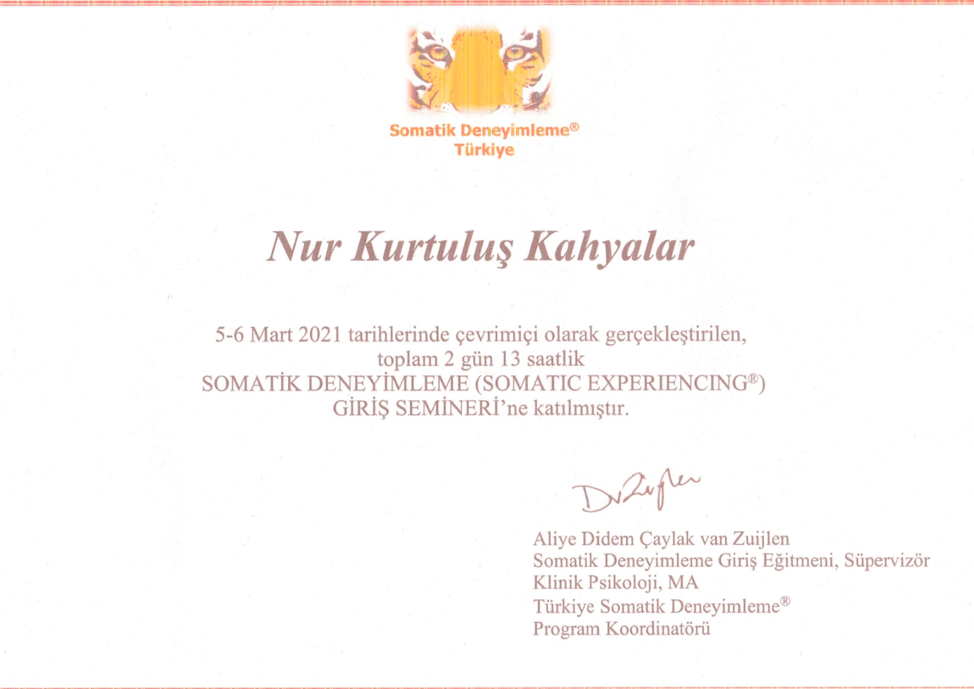 Somatik Deneyimleme Sertifikası