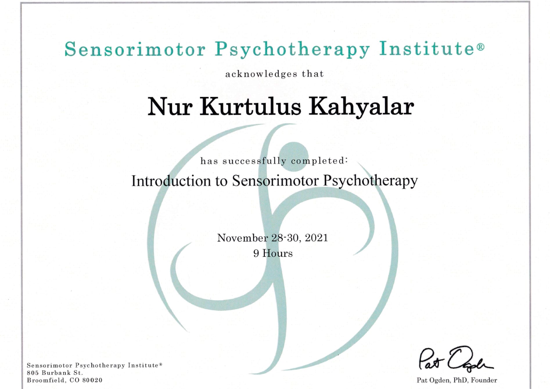 Sensorimotor Psikoterapi Sertifikası