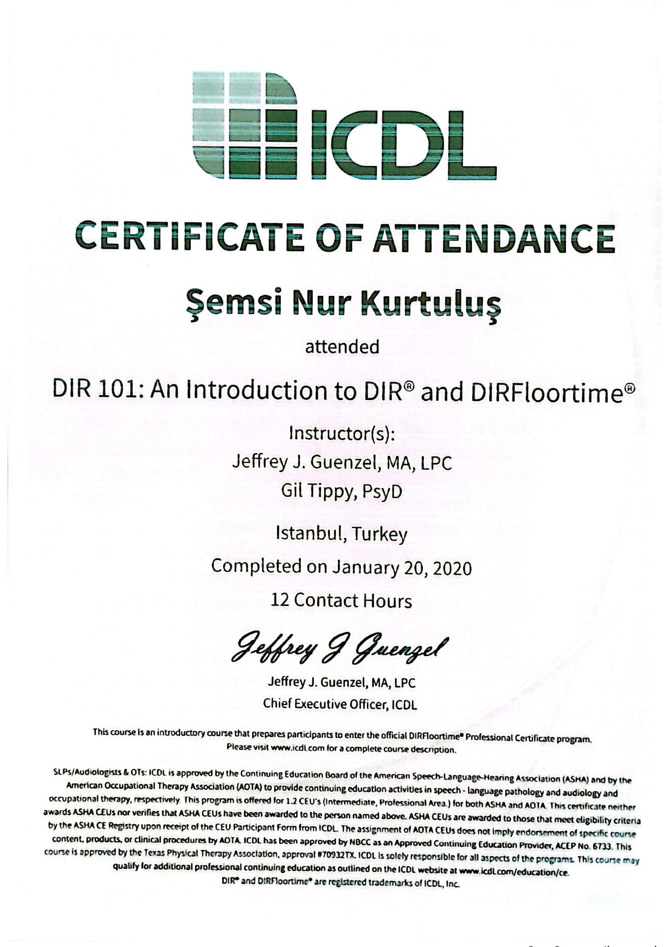 DIR 101: An Introduction to DIR and DIRFloortime